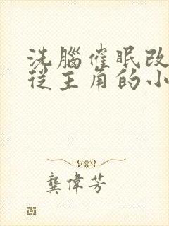 洗脑催眠改造服从主角的小说