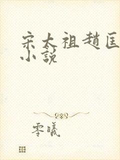 宋太祖赵匡胤传小说封面