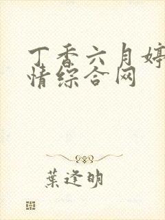 丁香六月婷婷激情综合网