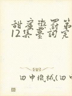 甜蜜惩罚第一季12集台词完整免费观看