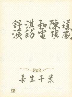 舒淇和陈道明主演的电视剧名