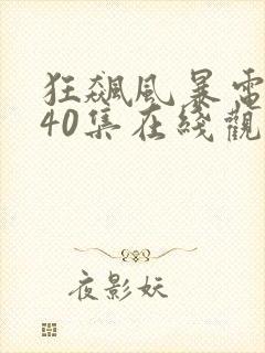 狂飙风暴电视剧40集在线观看免费封面