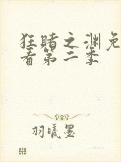 狂赌之渊免费观看第二季