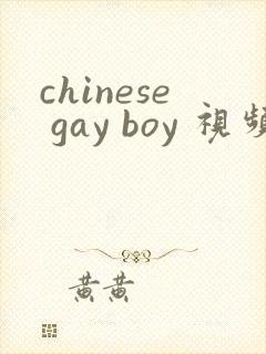 chinese gay boy 视频封面