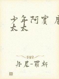 少年阿宾 房东太太封面