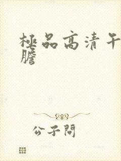 极品高清午夜大胆