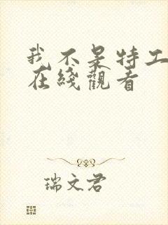 我不是特工全集在线观看