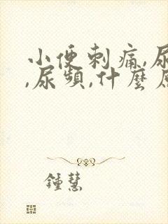 小便刺痛,尿急,尿频,什么原因引起