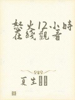 怒火12小时 在线观看封面