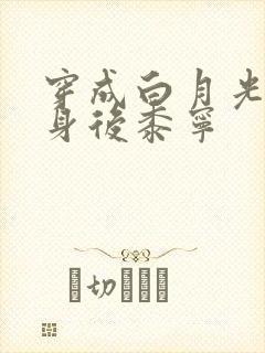 穿成白月光的替身后黍宁