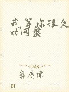 我等你很久了txt网盘