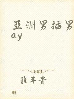 亚洲男插男同gay封面