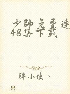 少帅免费连续剧48集下载封面