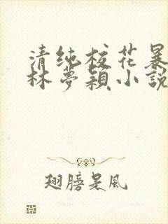 清纯校花暴露记林梦颖小说免费阅读最新章