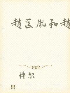 赵匡胤和赵光义