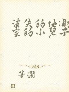 消失的他:财阀家的小儿子短剧封面