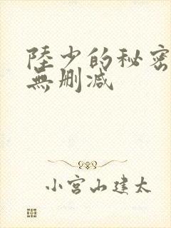 陆少的秘密恋人无删减