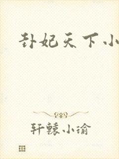 卦妃天下小说网封面