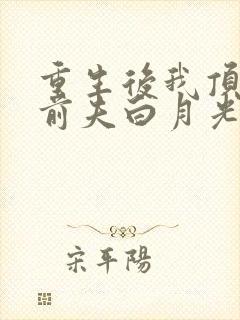 重生后我顶替了前夫白月光免费看