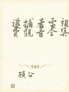 追捕者电视剧免费观看全集完整版