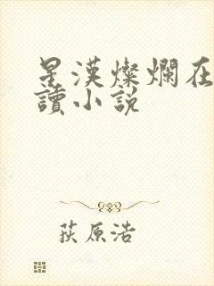 星汉灿烂在线阅读小说