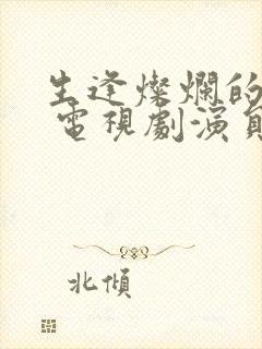 生逢灿烂的日子 电视剧演员表