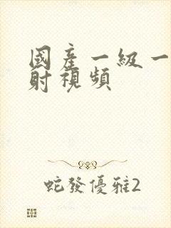 国产一级一片内射视频封面