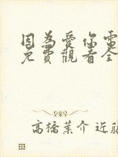 因为爱你电视剧免费观看全集