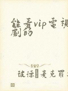 能看vip电视剧的
