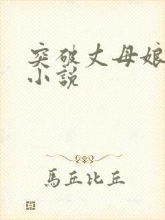 突破丈母娘赵悦小说