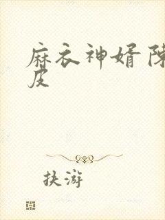 麻衣神婿 陈黄皮