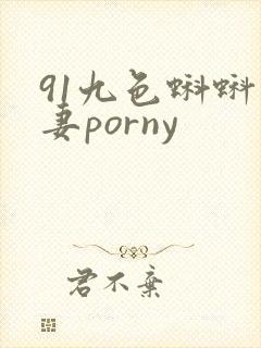 91九色蝌蚪人妻porny封面
