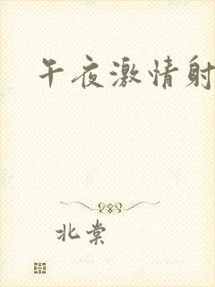 午夜激情射射射