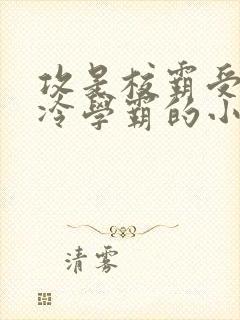 攻是校霸受是清冷学霸的小说