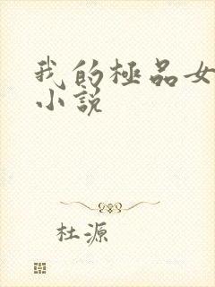 我的极品女教师小说