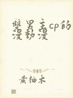 双男主cp的国漫动漫