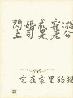 闪婚成宠:总裁上司是老公