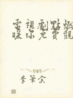 电视剧点燃我温暖你免费观看全集高清