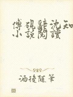 傅砚辞沈知意的小说阅读