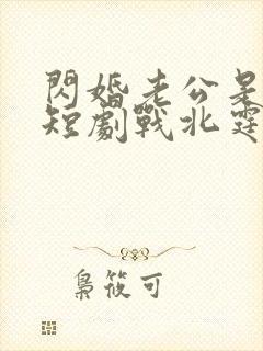 闪婚老公是豪门短剧战北霆封面