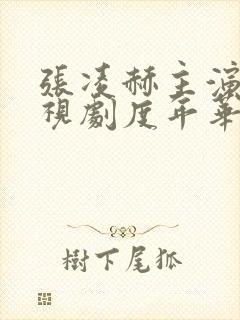 张凌赫主演的电视剧度年华封面