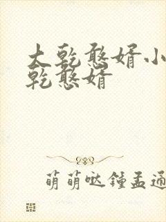 大乾憨婿小说大乾憨婿封面