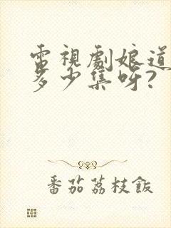 电视剧娘道一共多少集呀?