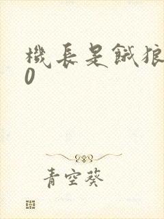 机长是饿狼第10封面