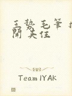 玉势 毛笔 撑开 夹住