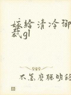 嫁给清冷御姐总裁gl