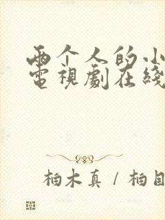 两个人的小森林电视剧在线观看完整