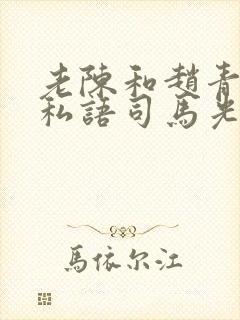 老陈和赵青窃窃私语司马光小说封面