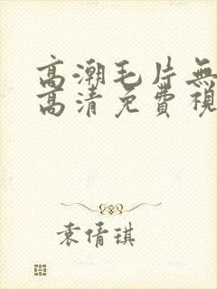 高潮毛片无遮挡高清免费视频毛多封面