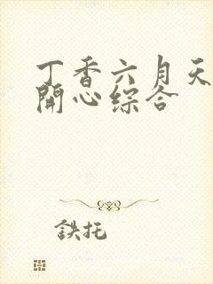 丁香六月天婷婷开心综合